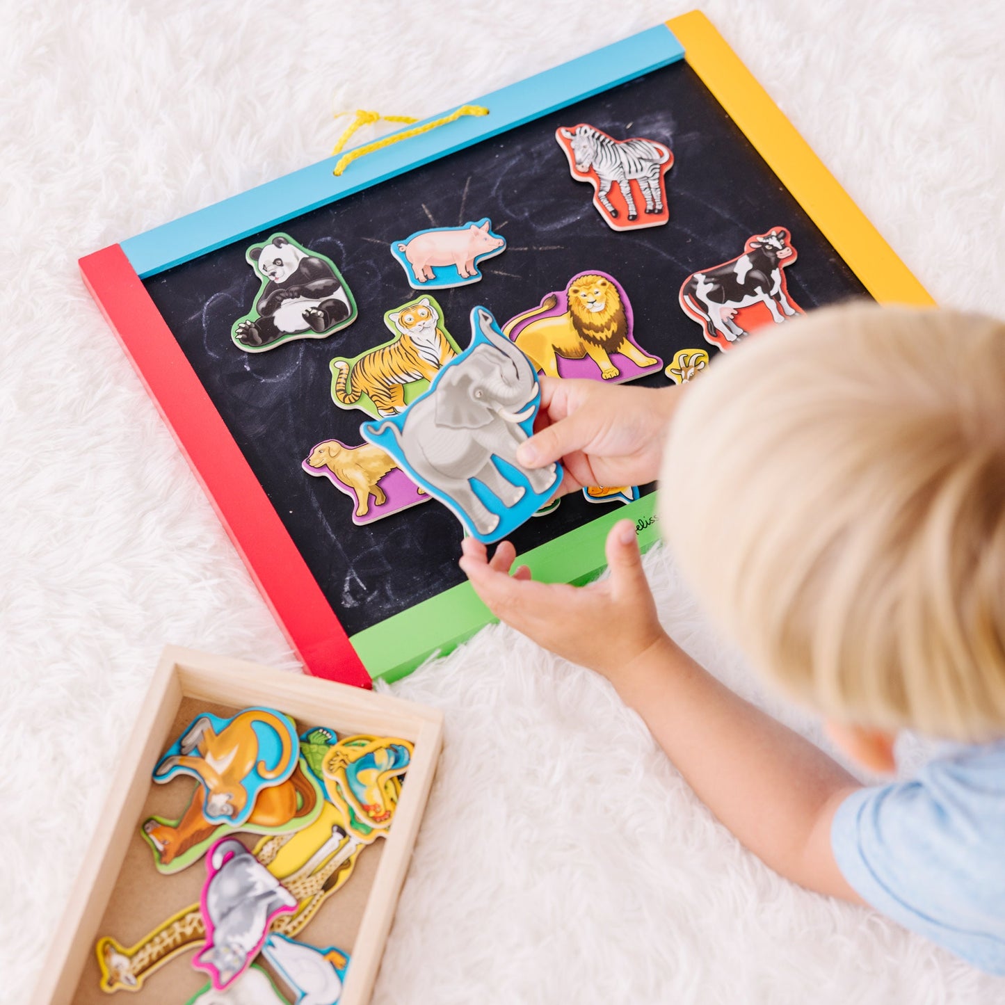 Wooden Animal Magnets